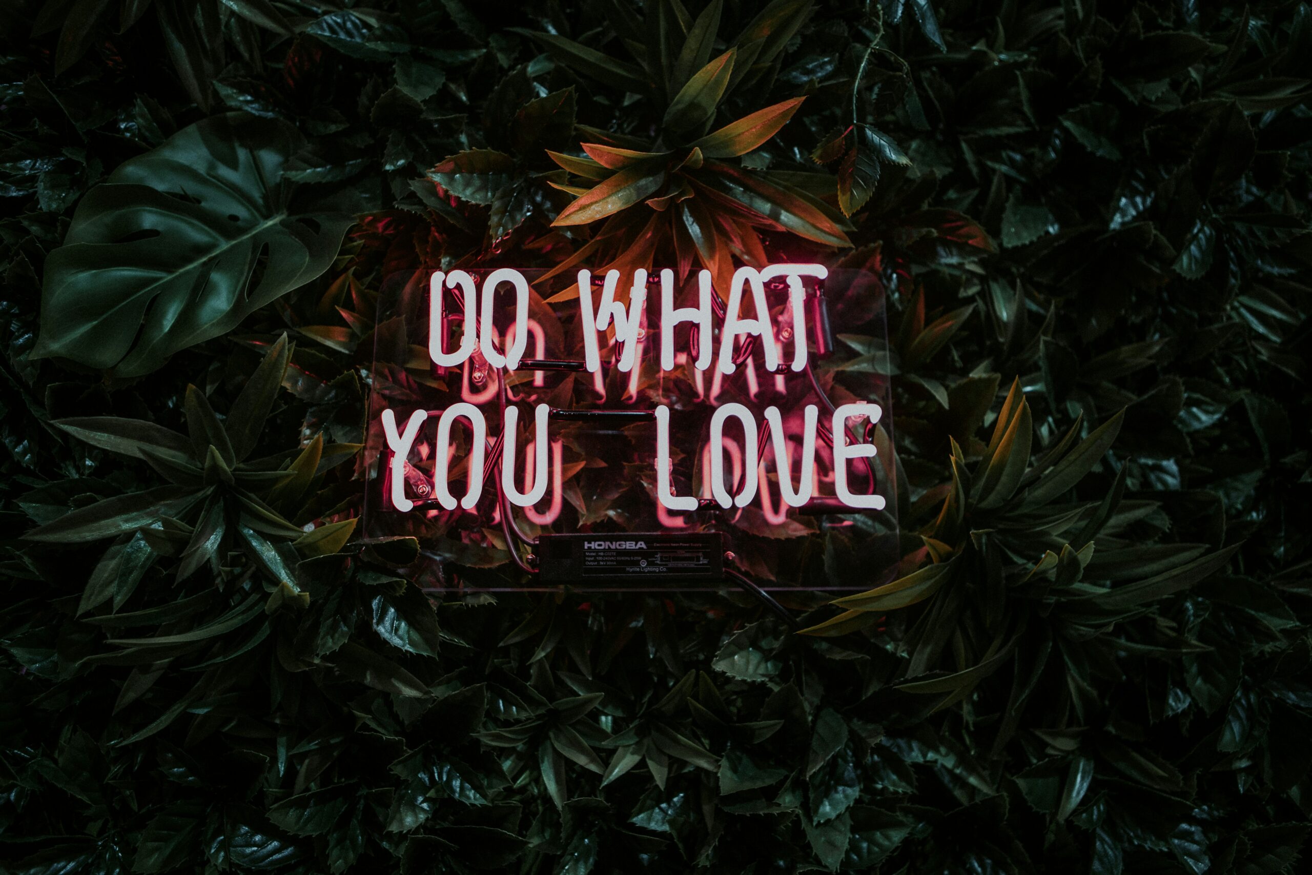 Quest-ce que le coaching et à qui s&rsquo;adresse t&rsquo;il ?